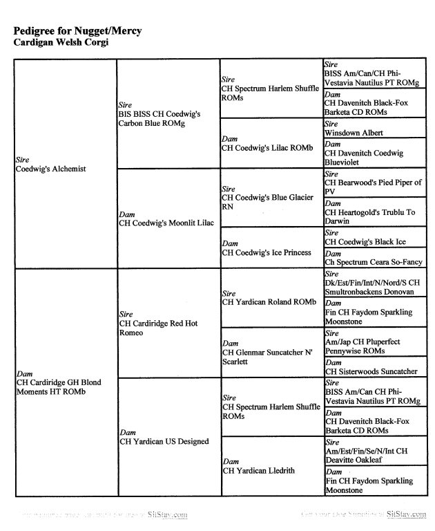 Glasshouse Kennel, is Lori Frost.